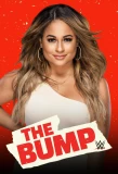Poster for The Bump