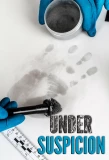 Poster for Under Suspicion