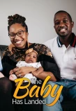 Poster for The Baby Has Landed