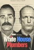 Poster for White House Plumbers