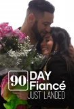 Poster for 90 Day Fiancé: Just Landed