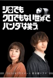 Poster for Panda Judges the World
