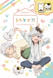 Poster for Uchitama?! Have You Seen My Tama?