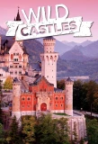 Poster for Wild Castles