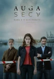 Poster for Auga Seca