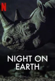 Poster for Night on Earth
