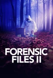 Poster for Forensic Files II