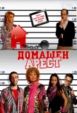 Poster for Domashen Arest