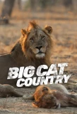 Poster for Big Cat Country