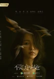 Poster for Imperfect Love