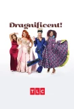 Poster for Dragnificent!