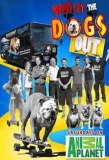 Poster for Who Let the Dogs Out