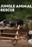 Poster for Jungle Animal Rescue