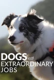 Poster for Dogs with Extraordinary Jobs