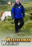 Poster for Weatherman Walking