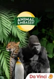 Poster for Animal Embassy