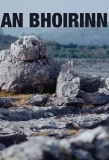 Poster for An Bhoirinn