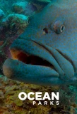 Poster for Ocean Parks