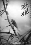 Poster for Autumn Cicada