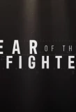 Poster for Year of the Fighter