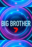 Poster for Big Brother
