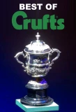Poster for Best of Crufts