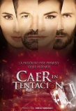 Poster for Caer en tentación