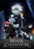 Poster for Ninja Collection