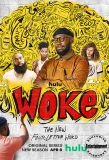 Poster for Woke