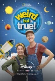 Poster for Weird But True!