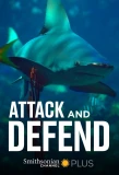 Poster for Attack and Defend