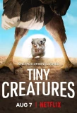 Poster for Tiny Creatures