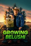 Poster for Growing Belushi