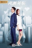 Poster for Perfect Partner