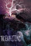 Poster for The Expecting