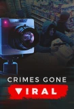 Poster for Crimes Gone Viral