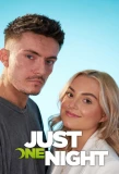 Poster for Just One Night