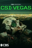 Poster for CSI: Vegas