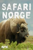 Poster for Safari Norge