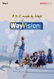 Poster for WayVision