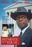 Poster for Separate But Equal