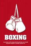 Poster for Boxing on PPV