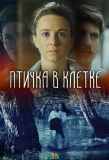 Poster for Птичка в клетке