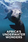 Poster for Africa's Underwater Wonders