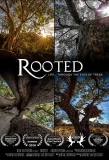 Poster for Rooted