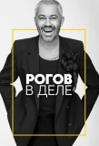 Poster for Рогов в деле