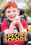 Poster for A Special School
