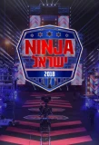Poster for Ninja Israel