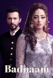 Poster for Badnaam