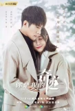Poster for You Are the Miracle